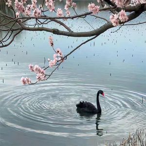 我的心跳 为你跳动