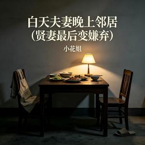 白天夫妻晚上领居(贤妻最后变嫌弃)