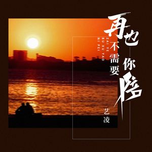 再也不需要你陪