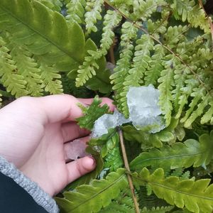 年岁1002-cover毛不易