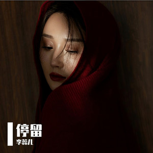 停留 (DJ默涵版伴奏)