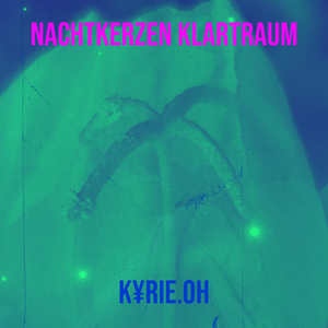 Nachtkerzen Klartraum