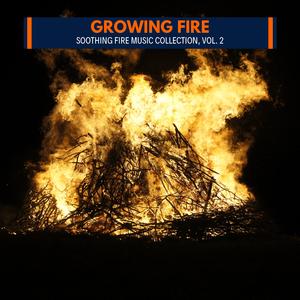 Nature Love and Rain Forest