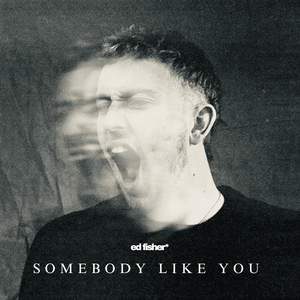 somebody like you