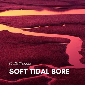 Soft Tidal Bore