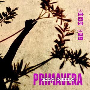 Primavera em mim