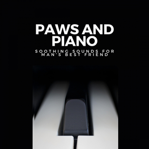 Piano's Serenade for Evening Cuddles