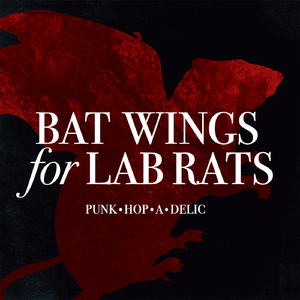 The Lions (Acoustic)