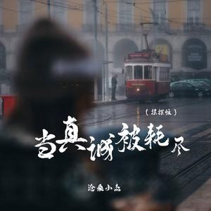 当真诚被耗尽(爱我你就抱抱我DJ)