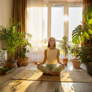 Comienzan Las Melodías Pacíficas