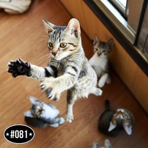 calm tang (Jersey Club)