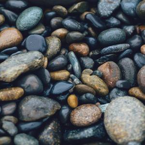 Took a Plane to Somewhere