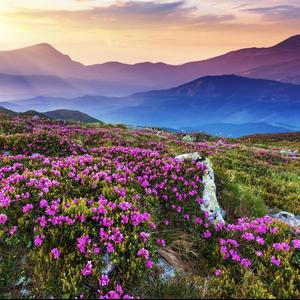 公路商店（官方版）