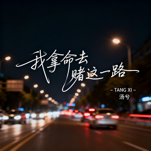 我拿命去赌这一路