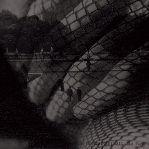 スピカ(ネガとポジ版)