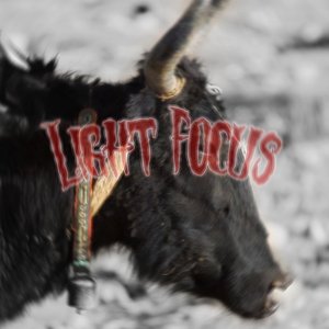 Light focusII