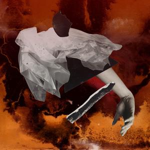 The Beauty and the Beast