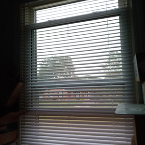 My Darling, I Love You