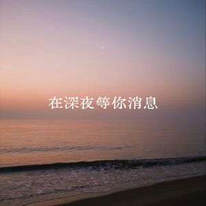在深夜等你消息