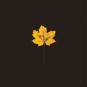 가을겨울 ( Ft. Tari )