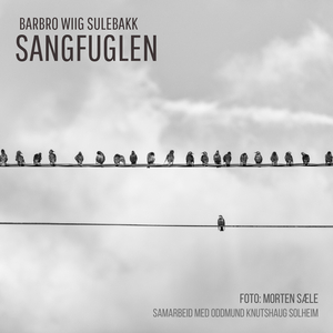 Jeg elsket deg først