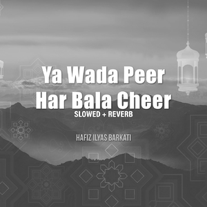 Ya Wada Peer Har Bala Cheer (Lofi-Mix)