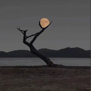 没发生过 (2) 伴奏