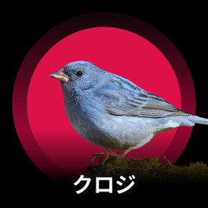 クロジと風のハーモニー