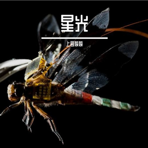 梦中的明月 伴奏