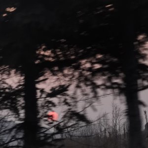 《如果没如果》