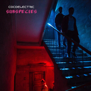 Subspecies