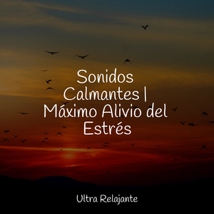 Esquinas De La Galaxia