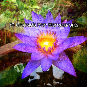 疗愈瑜伽冥想音乐伴侣