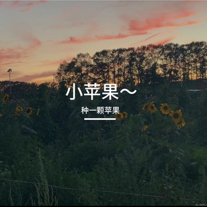种下一棵苹果
