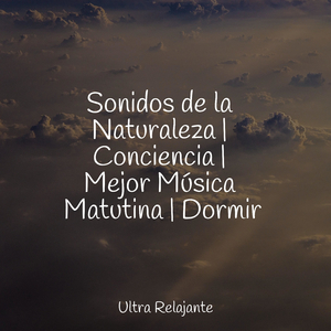 Maravillas Submarinas