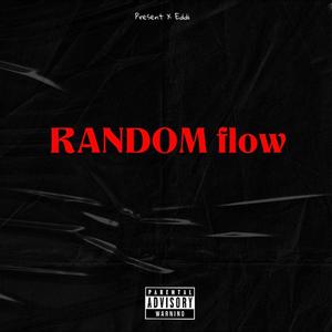 Random flow