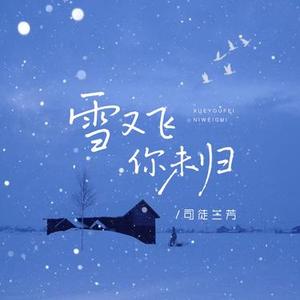 雪又飞你未归 (DJ阿尼版)