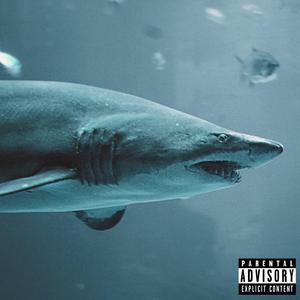 House Rules (feat. Rick Brown & Anonymuz)