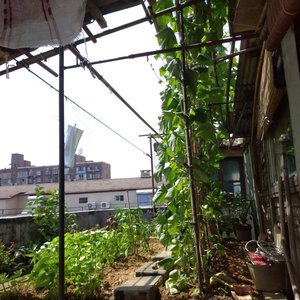 _(:з」∠)_Myfuk1ngDEM0