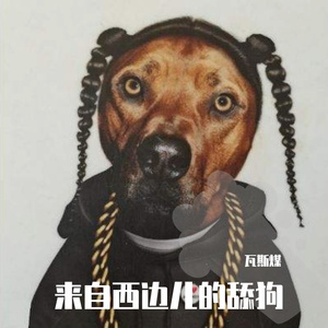 来自西边儿的舔狗