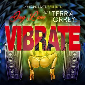 ViBrate (feat. Terra Torrey) (Radio Edit) (Radio Edit)