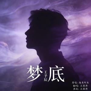 梦底（cover：海来阿木）