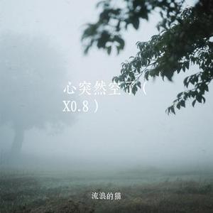 心突然空了 (X0.8)
