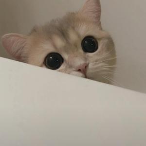 爱如潮水+说散就散