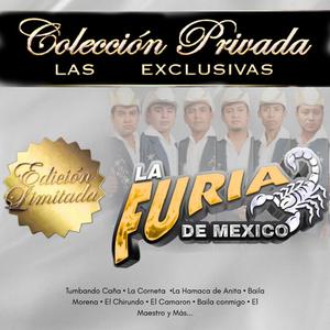 El Chirundo