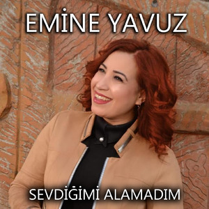 Sevdiğimi Alamadım
