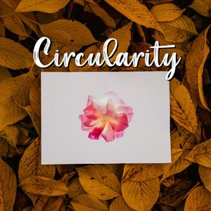 Circularity