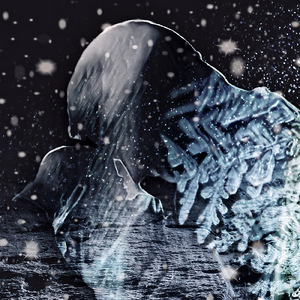 Snow flake