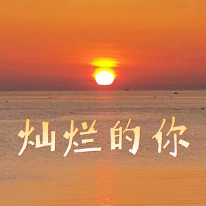 灿烂的你（Live）