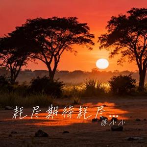 耗尽期待耗尽爱 (Cover 王佳音)